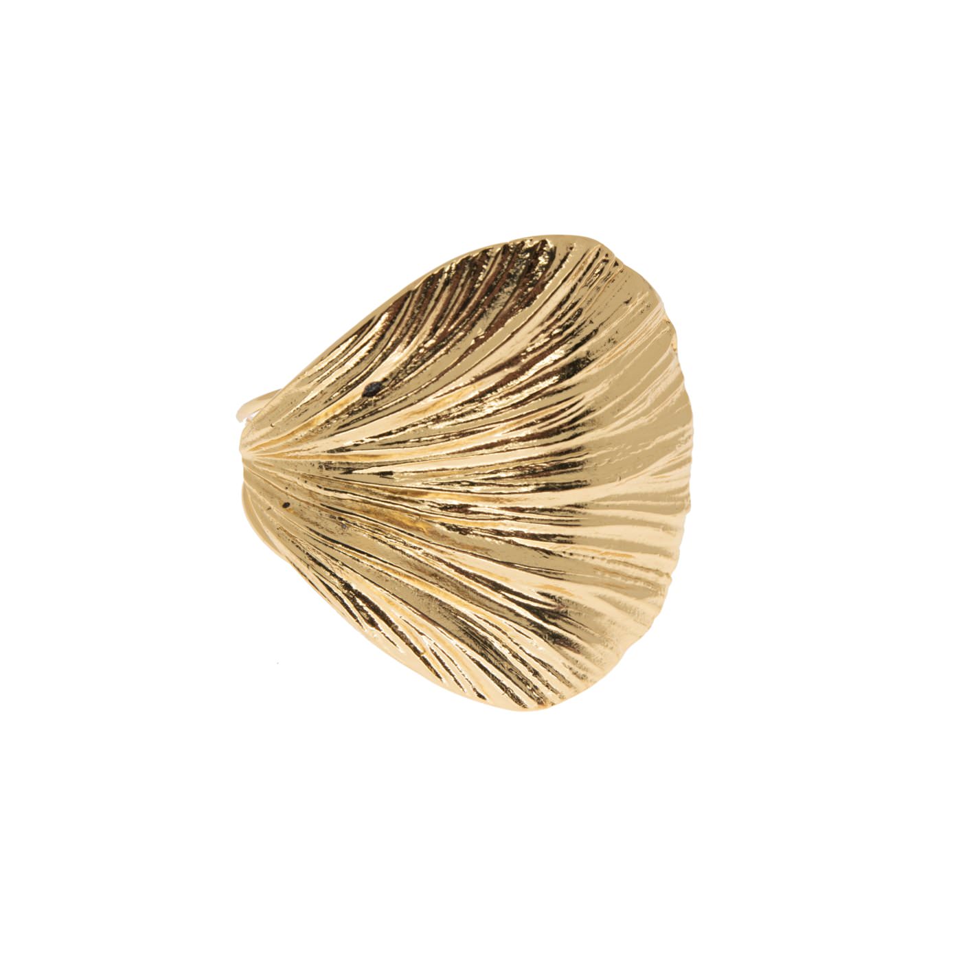Brazalete Concha