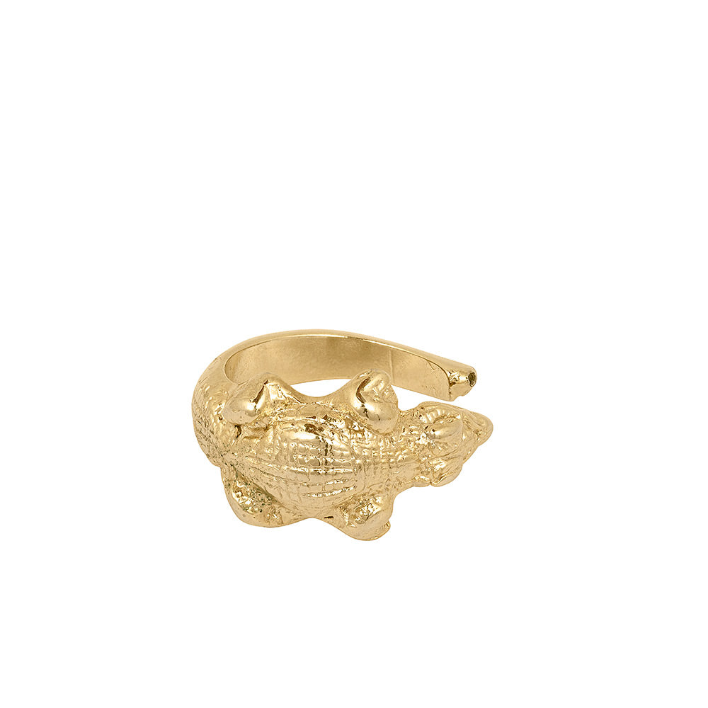 Anillo Cocodrilo
