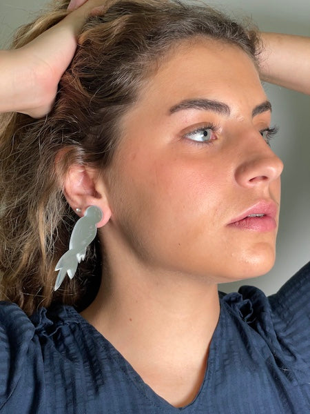 Pendientes Loro Plata