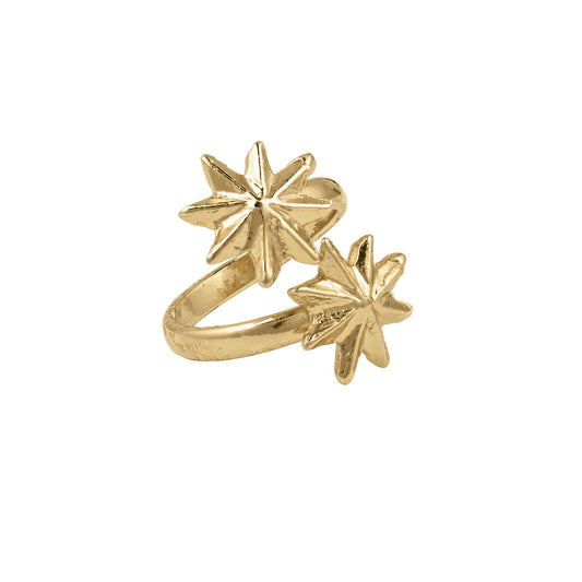 Anillo doble estrella