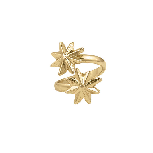 Anillo doble estrella