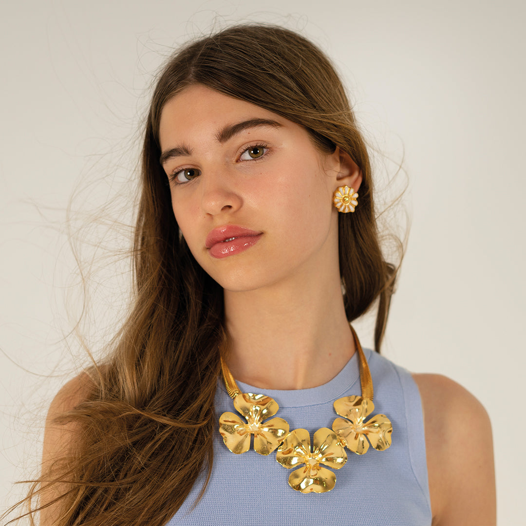 Collar Hibbys