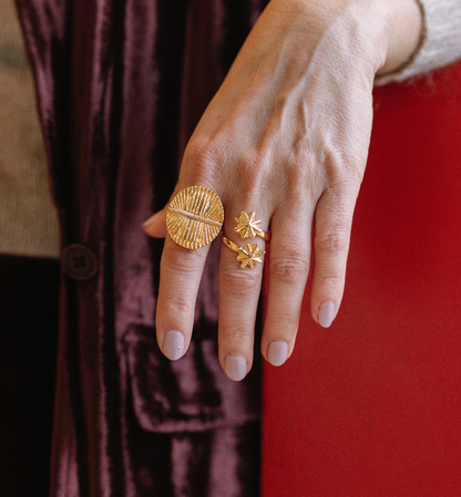 Anillo doble estrella