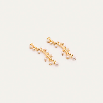 Pendientes Trepador