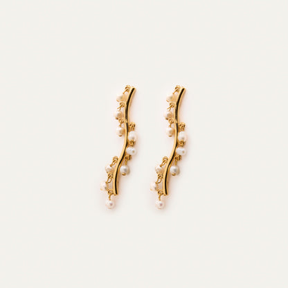 Pendientes Trepador