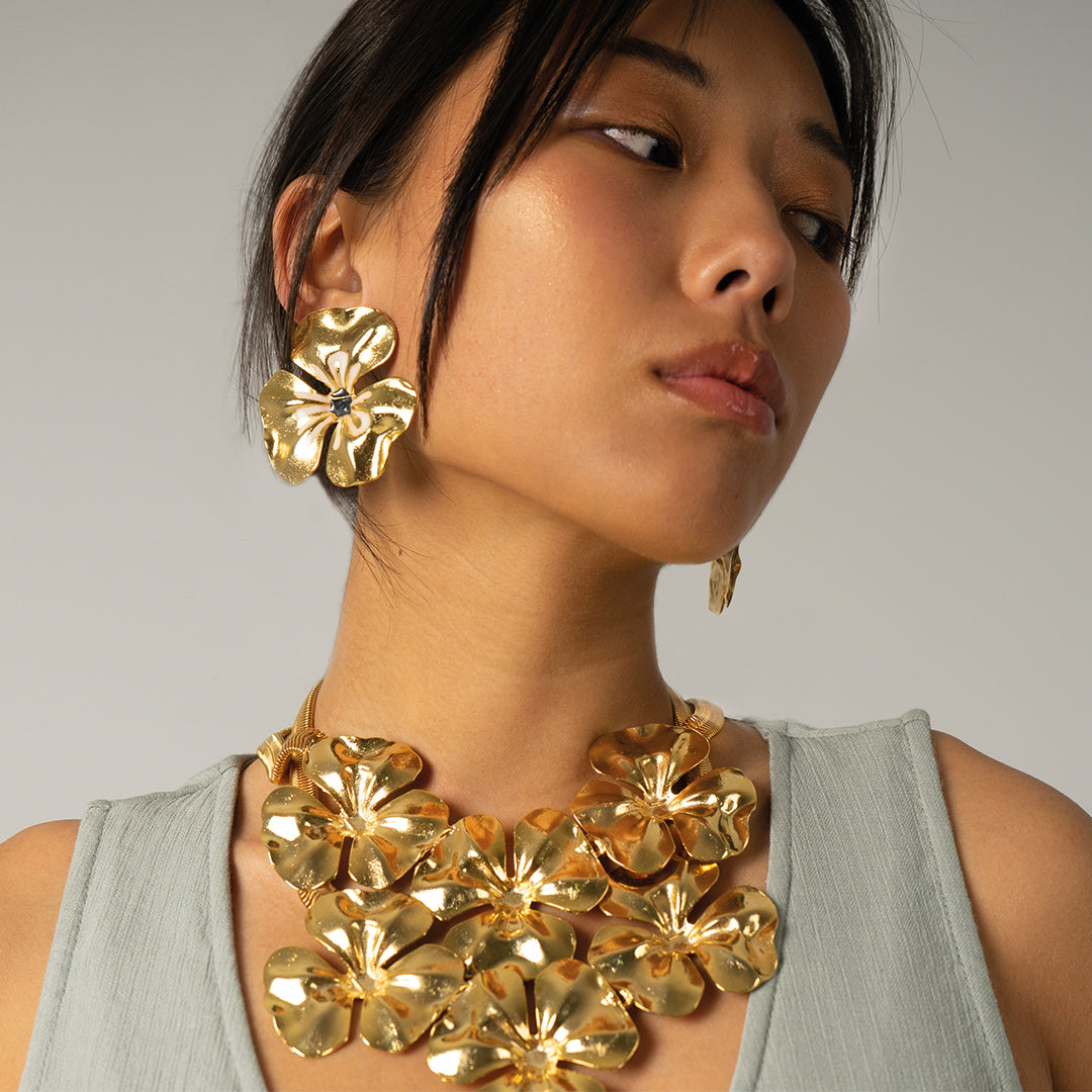 Collar Hibbys
