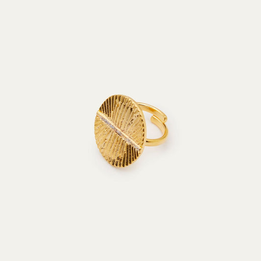Anillo Escudo Purpurina