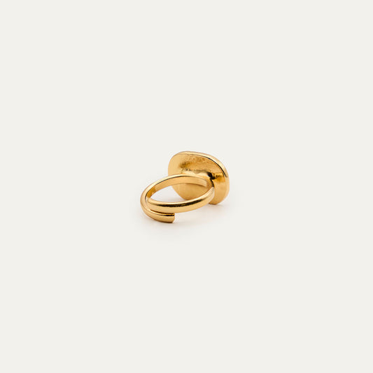 Anillo Péndulo Multi