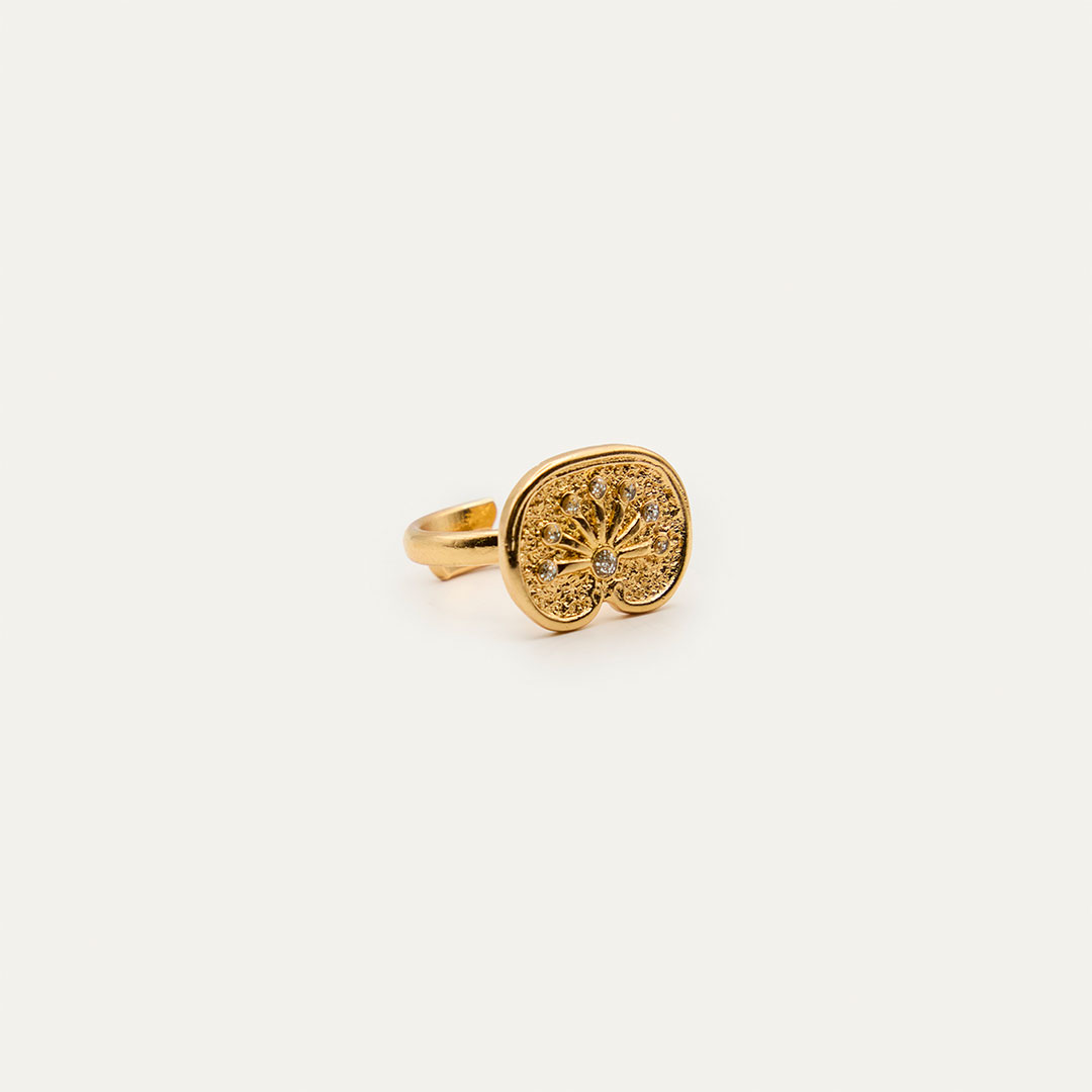 Anillo Pendulo Purpurin