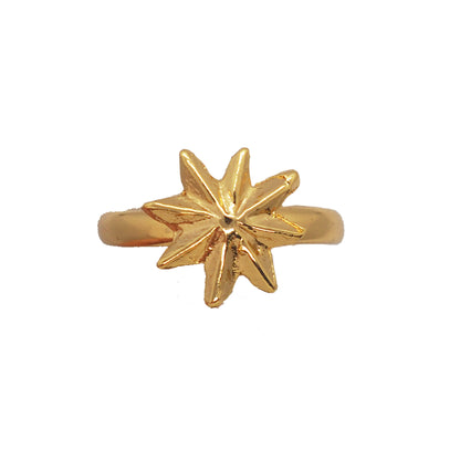 Anillo estrella mini